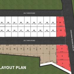 Layout
